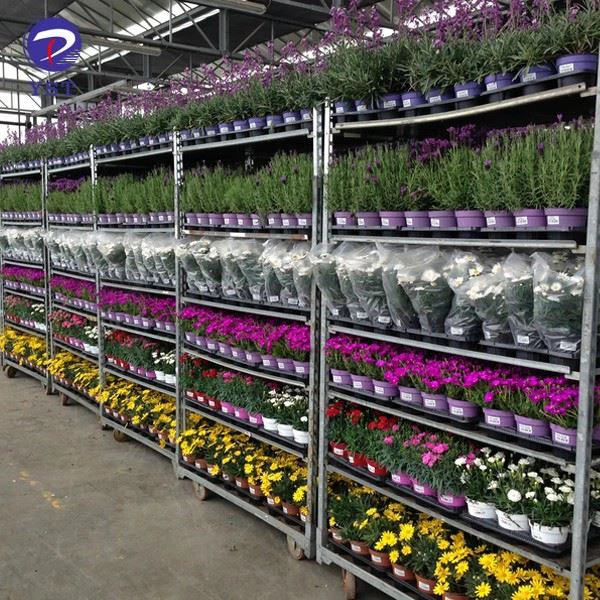Greenhouse Nursery Trolley