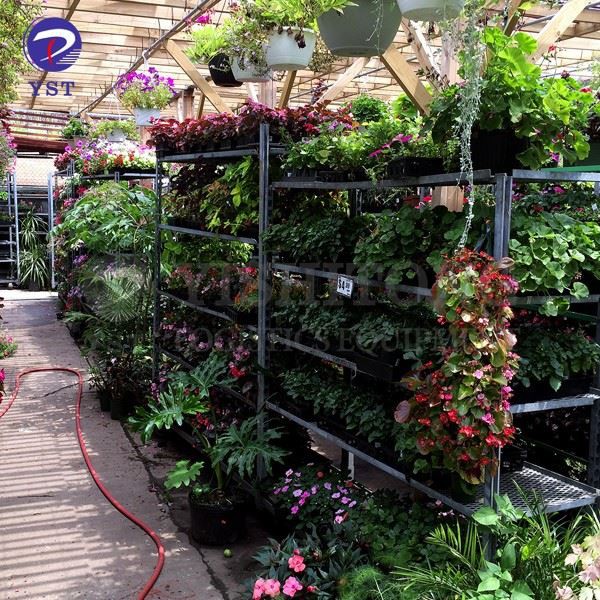 Greenhouse Plant Trolley