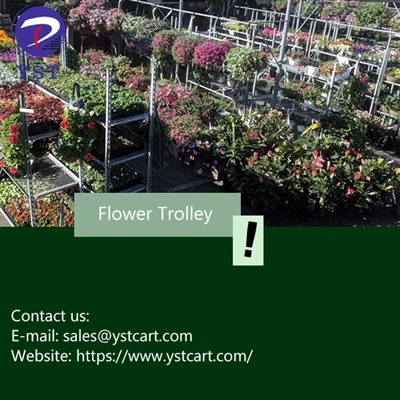 پھولوں کی ٹرالی کے ساتھ گارڈن سینٹر کے لے آؤٹ کو کیسے پروجیکٹ کریں؟