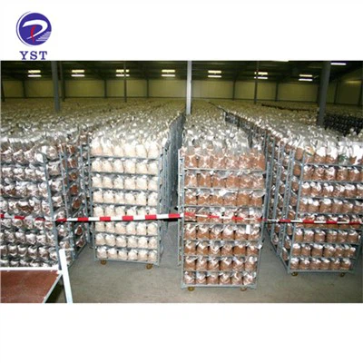 ہاٹ ڈِپ جستی نرسری ٹرالی