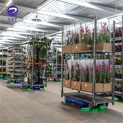 نرسری ہیوی ڈیوٹی گرین ہاؤس کارٹ