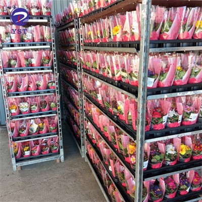نرسری کے استعمال کے لیے شیلفڈ کارٹس