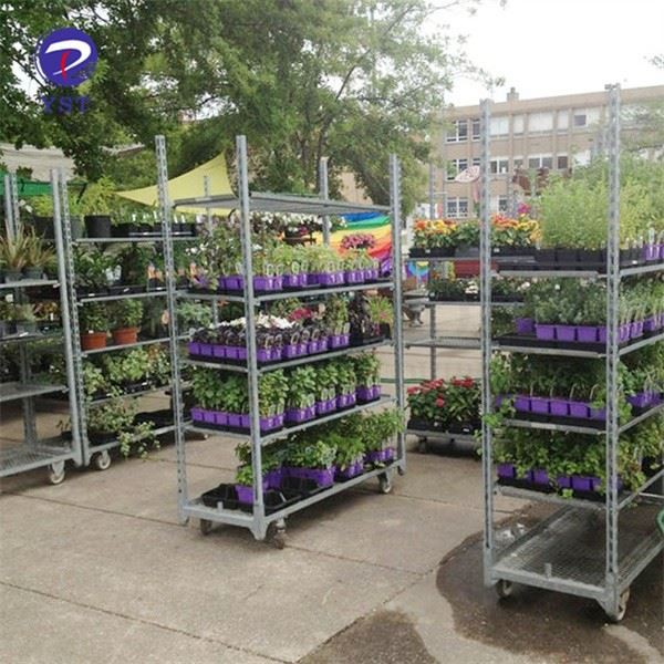 Wire Mesh Cart For Transporting Plants