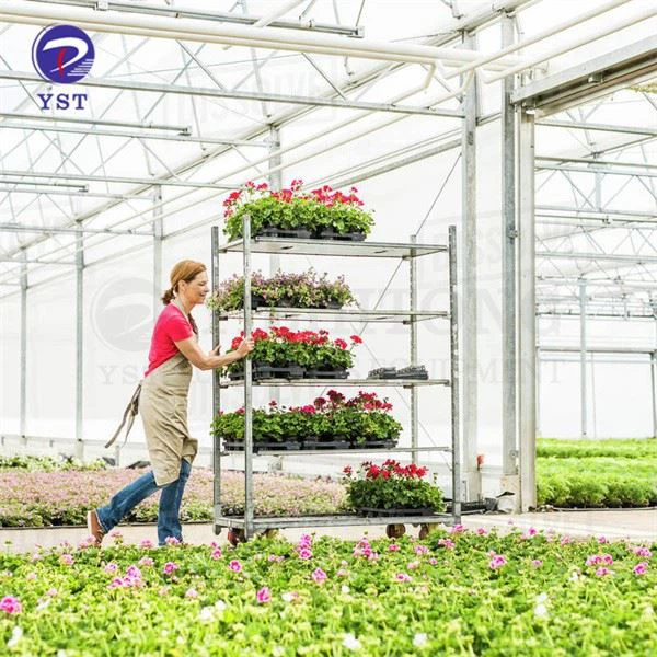 Wire Mesh Cart For Transporting Plants