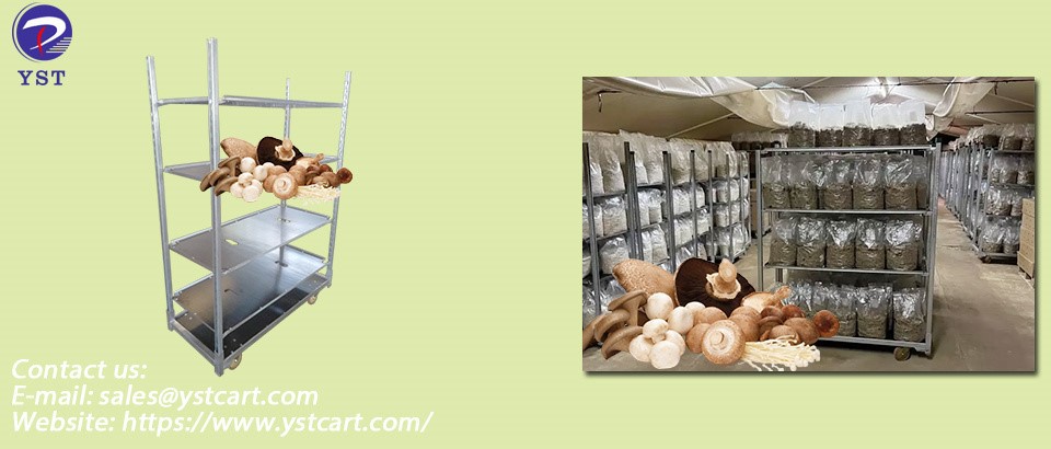 Mushroom Growing Racks-2 Mushroom Growing Racks-2