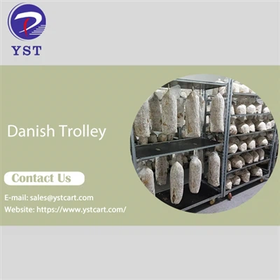 مشروم کی کاشت کی صنعت میں ڈینش ٹرالیوں کے استعمال کے فوائد